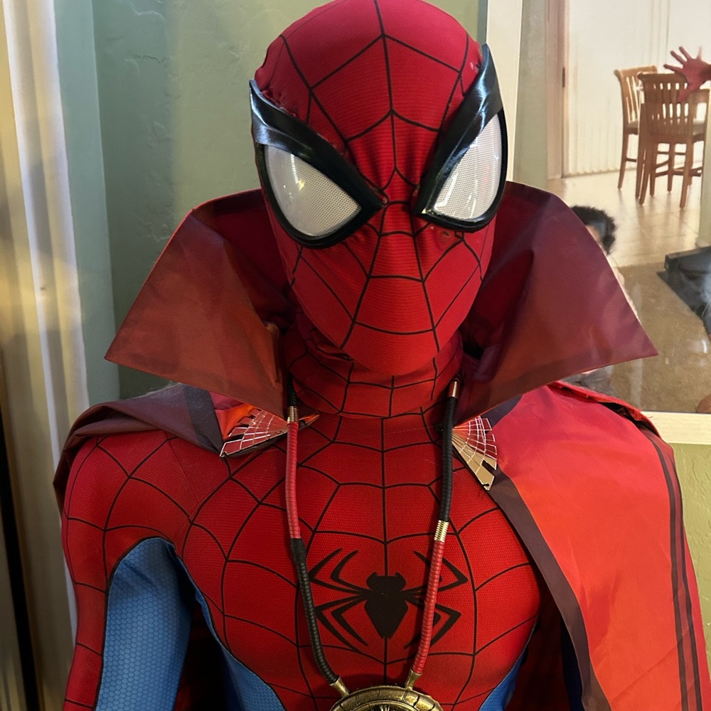 Spider-Man adult cosplay costume